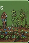 Farm crops
